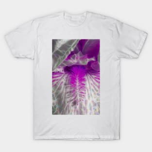 closeup of the central part of a iris with beard in full bloom in shades of white and purple colours T-Shirt